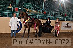09yn-10072 proof