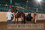 09yn-10073 proof