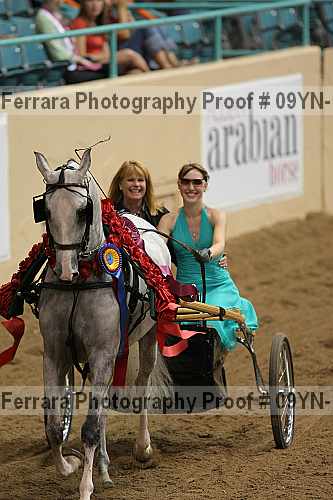Proof 09yn-10082