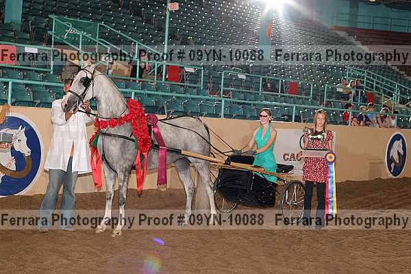 Proof 09yn-10088