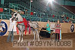09yn-10088 proof