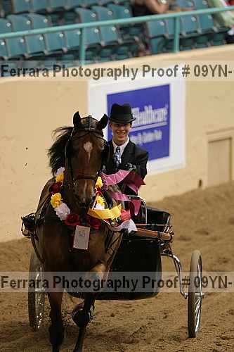 Proof 09yn-10096