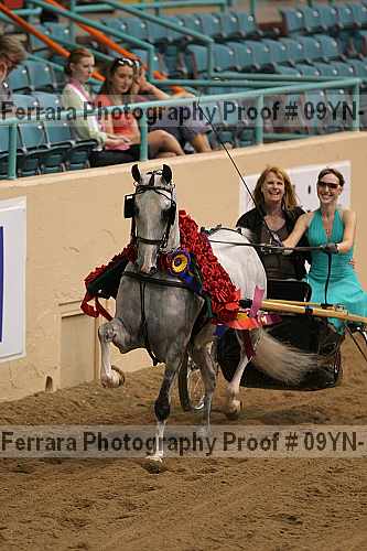 Proof 09yn-10098