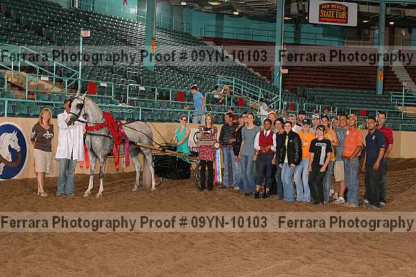 Proof 09yn-10103