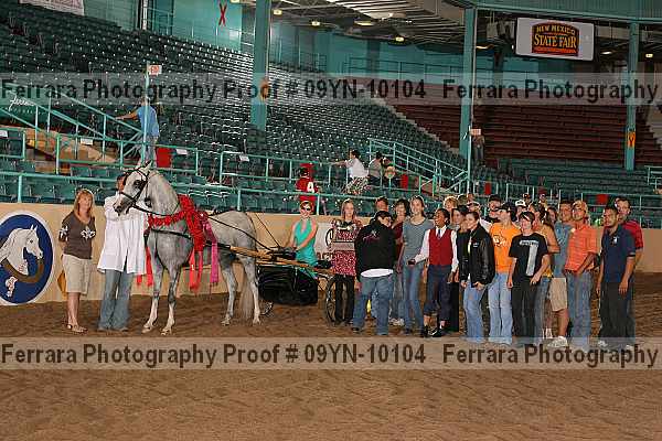Proof 09yn-10104