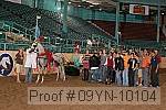 09yn-10104 proof