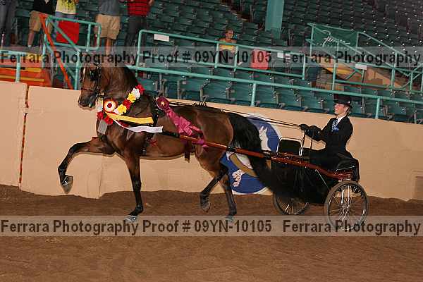 Proof 09yn-10105