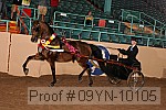 09yn-10105 proof