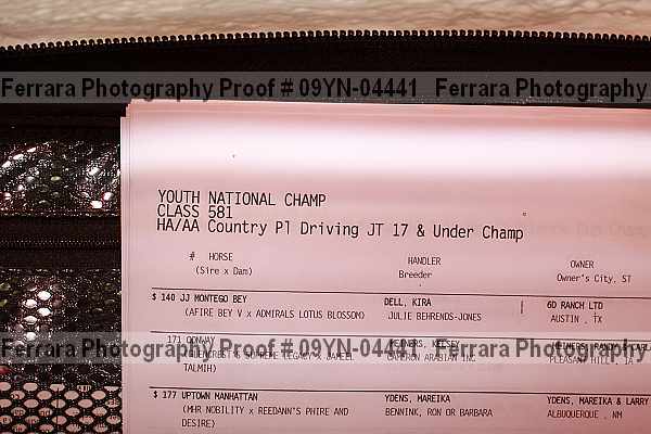 Proof 09yn-04441