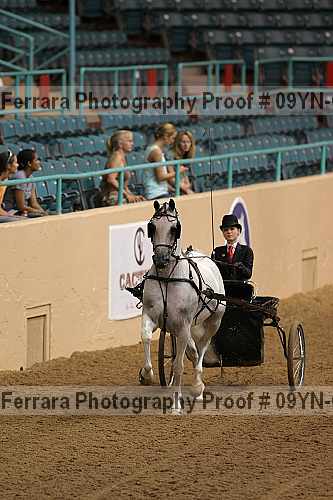 Proof 09yn-04443