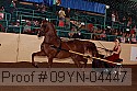 09yn-04447 proof
