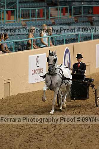 Proof 09yn-04448