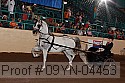 09yn-04453 proof