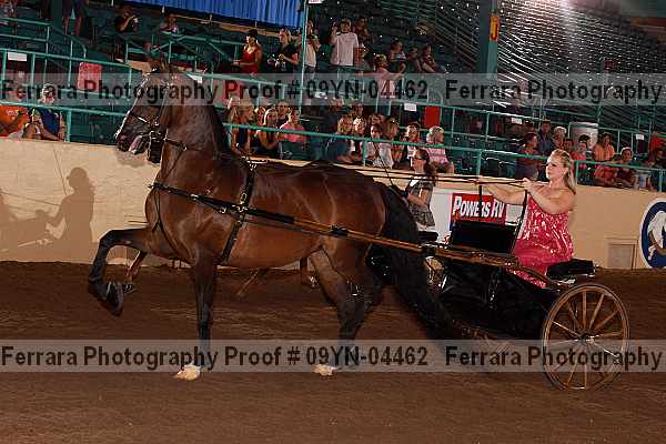 Proof 09yn-04462