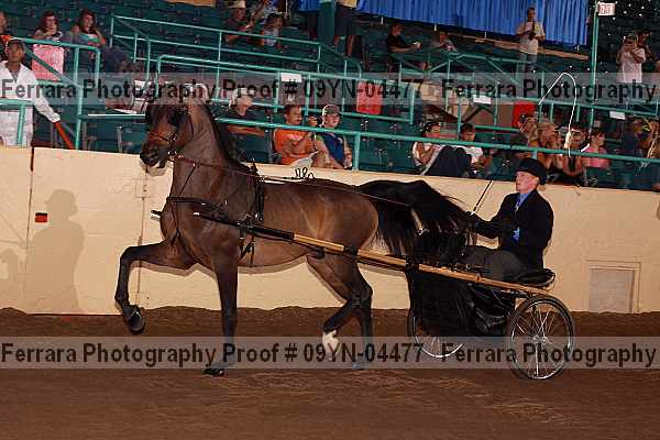 Proof 09yn-04477