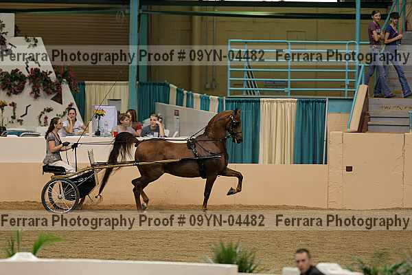 Proof 09yn-04482