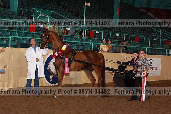 Proof 09yn-04492