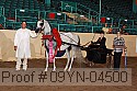 09yn-04500 proof