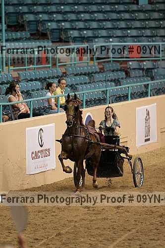 Proof 09yn-04502