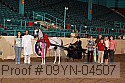 09yn-04507 proof