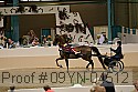 09yn-04512 proof