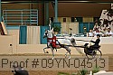 09yn-04513 proof