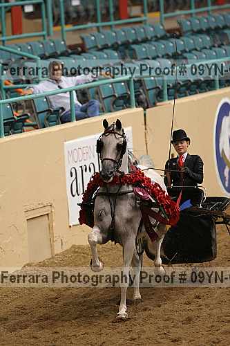 Proof 09yn-04518