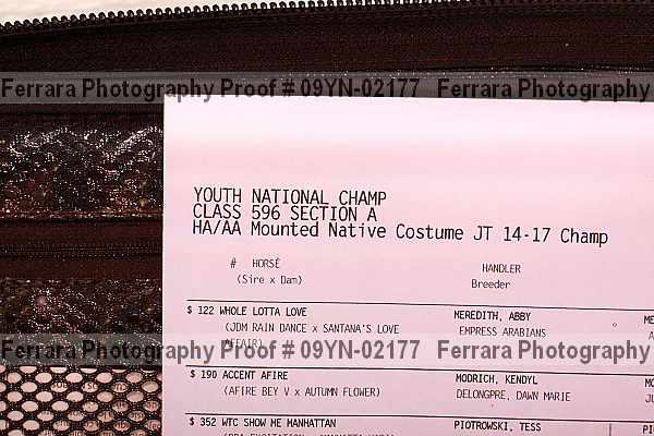 Proof 09yn-02177