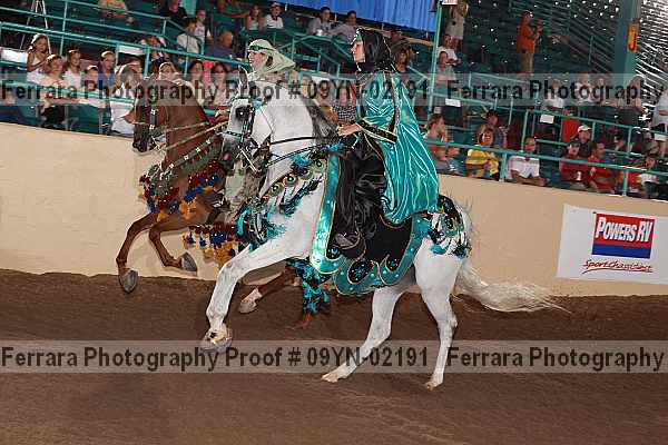 Proof 09yn-02191