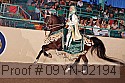 09yn-02194 proof