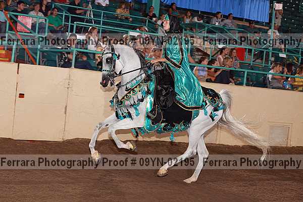 Proof 09yn-02195