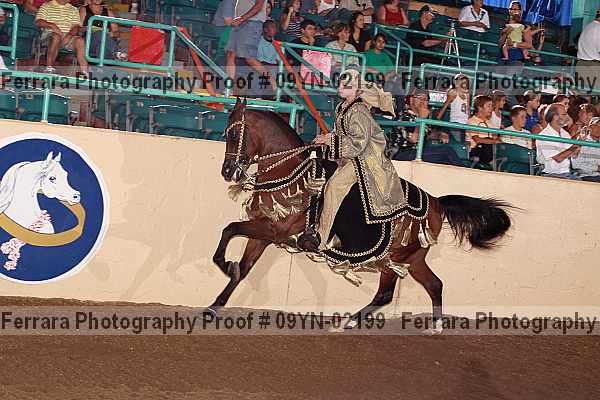 Proof 09yn-02199