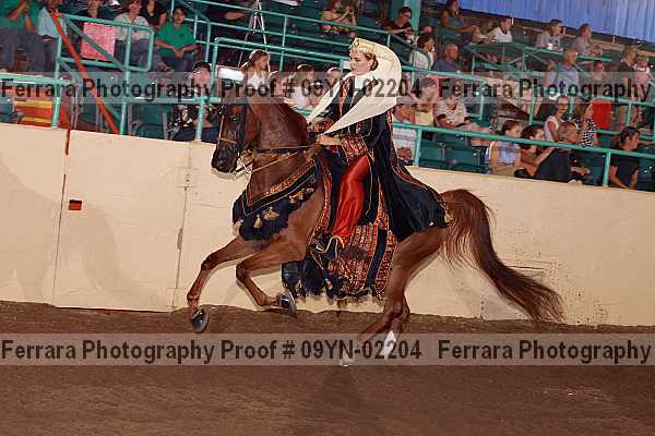 Proof 09yn-02204