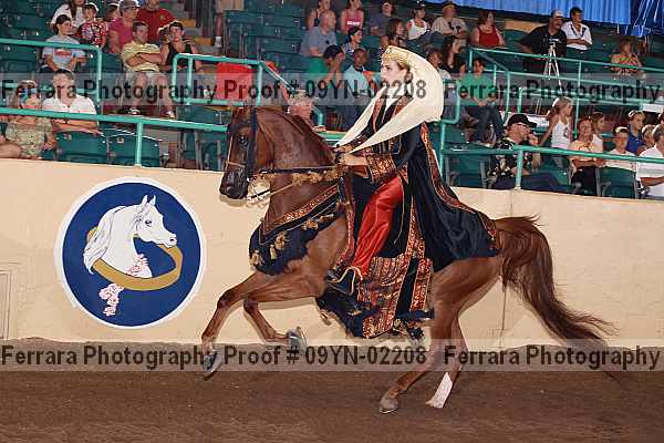 Proof 09yn-02208
