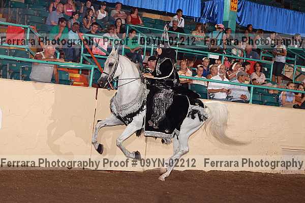 Proof 09yn-02212