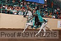 09yn-02216 proof