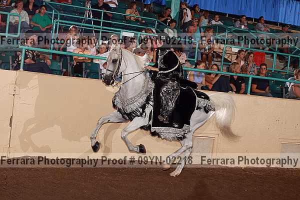 Proof 09yn-02218