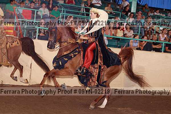 Proof 09yn-02219