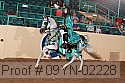 09yn-02228 proof