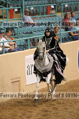 Proof 09yn-02230