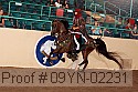 09yn-02231 proof