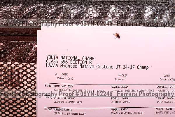 Proof 09yn-02246