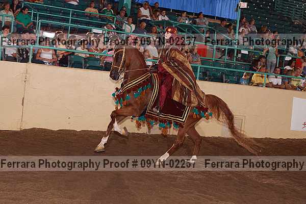 Proof 09yn-02257