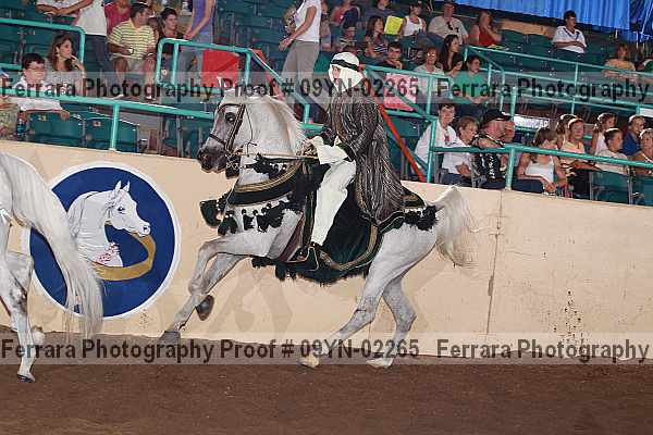 Proof 09yn-02265