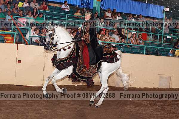 Proof 09yn-02268
