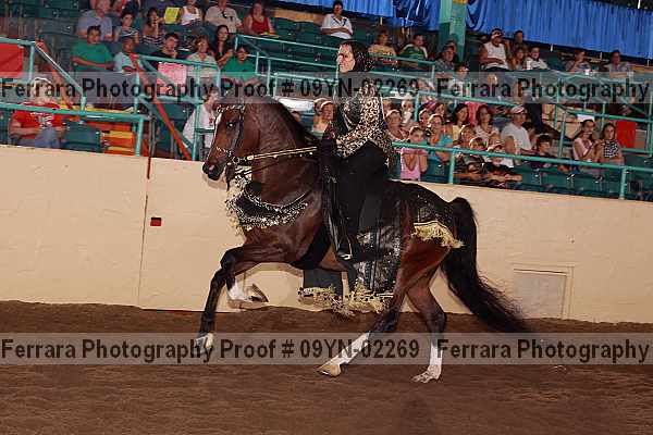 Proof 09yn-02269