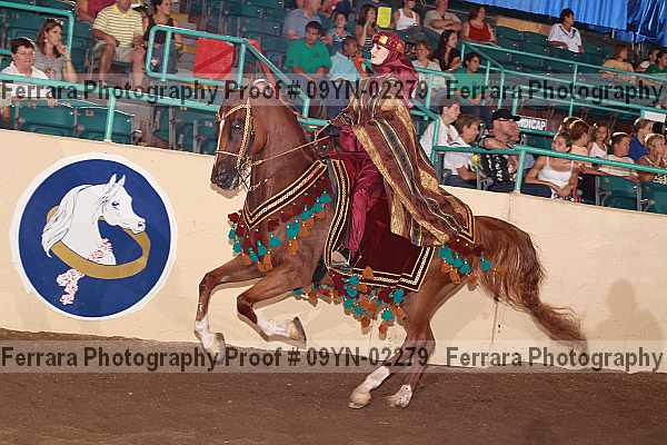 Proof 09yn-02279