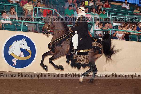 Proof 09yn-02280