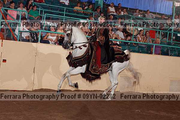 Proof 09yn-02282