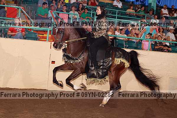 Proof 09yn-02283